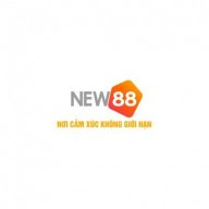 new882info6